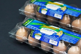 Bao bì Trứng gà sạch số 1 thế giới DTK