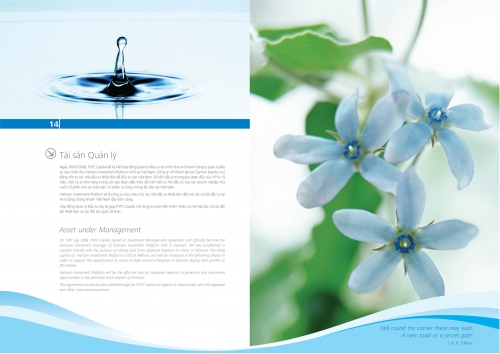 Thiết kế in ấn Profile giới thiệu – PVFC