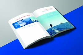 Thiết kế in ấn Profile giới thiệu – PVFC