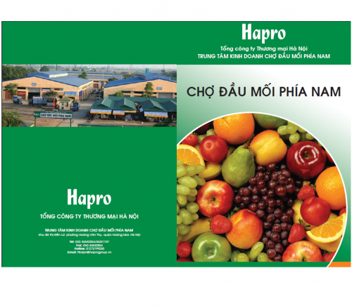 Tư vấn thiết kế thương hiệu – Hapro